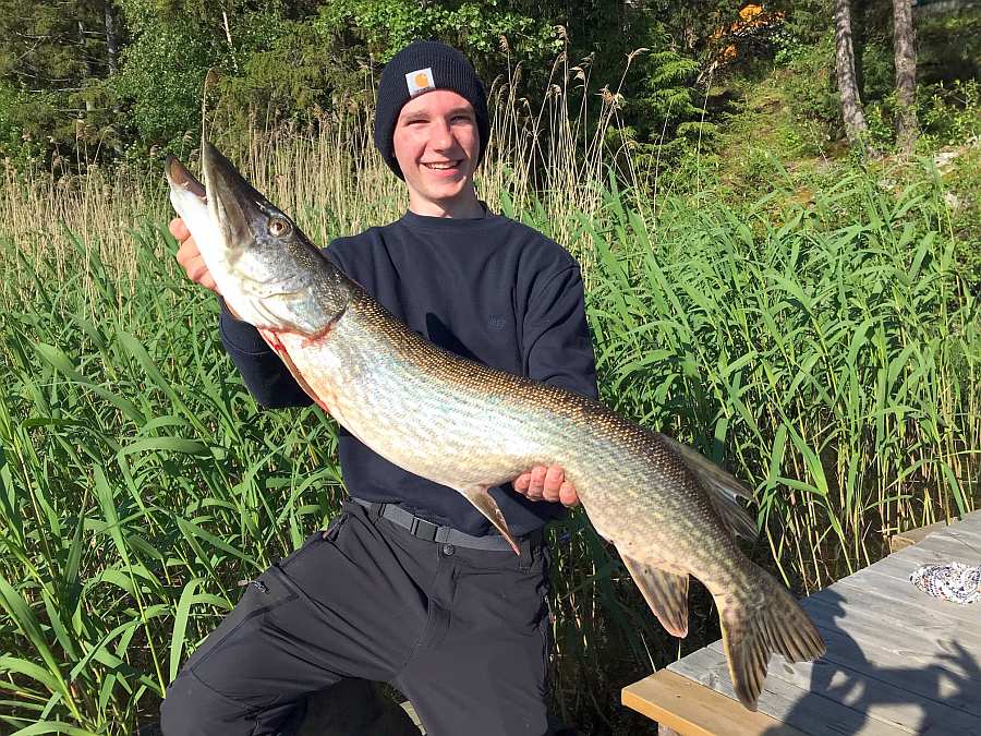 Der Steg ist scheinbar ein echter Hot-Spot! Der Steg ist scheinbar ein echter Hot-Spot!