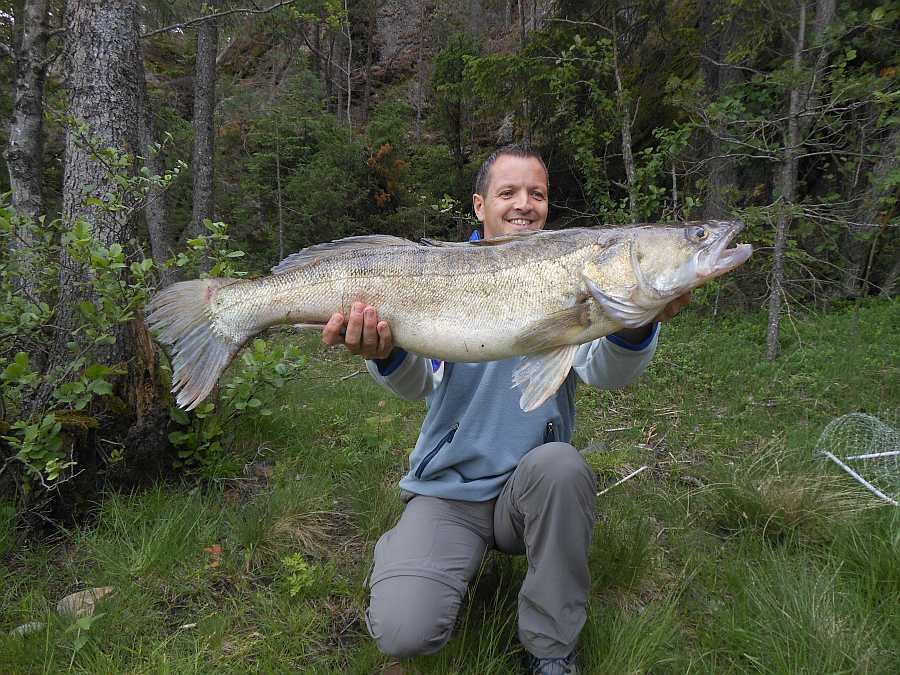 ..auch große! ..auch große!