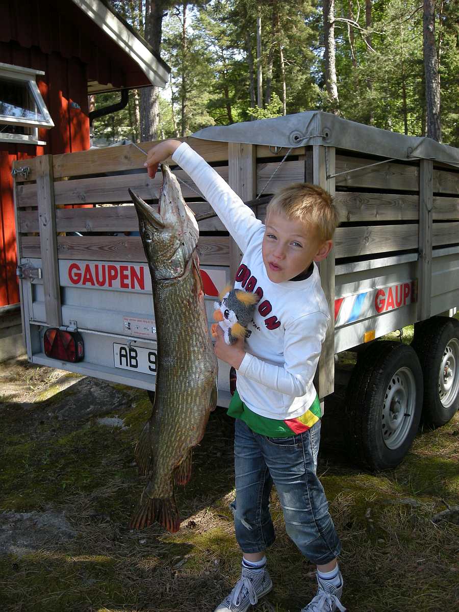 Auch die Kleinen haben Erfolg!