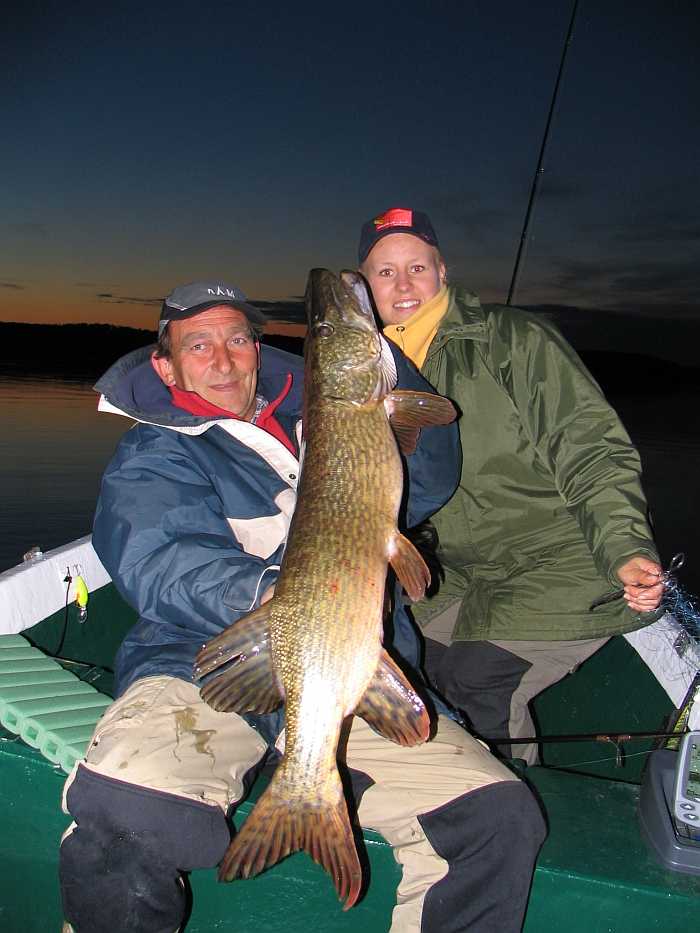 Auf Beutezug am späteren Abend... 121 cm! Auf Beutezug am späteren Abend... 121 cm!