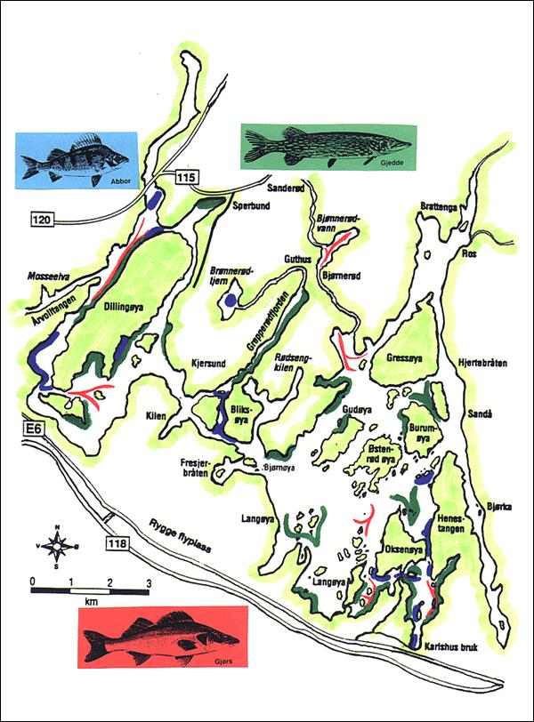 Der See ist extrem abwechslungsreich und bietet unzählige Möglichkeiten Der See ist extrem abwechslungsreich und bietet unzählige Möglichkeiten