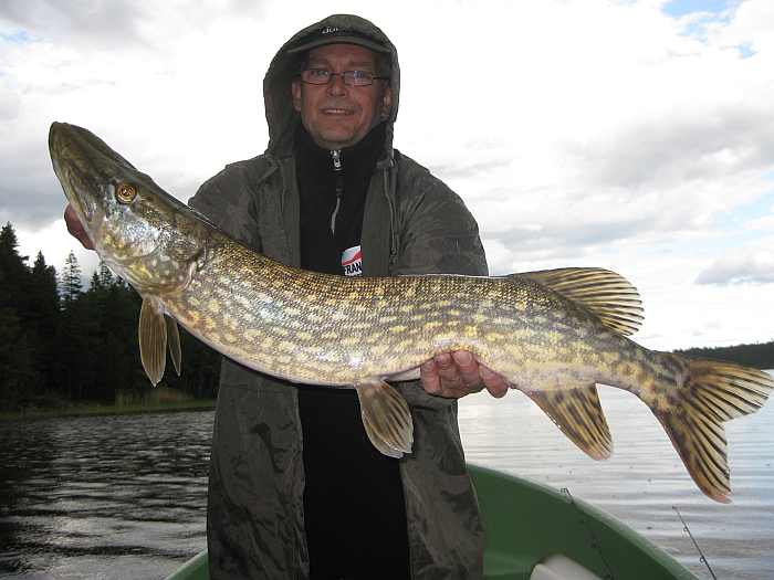 Prächtiger Hecht aus dem Vansjø