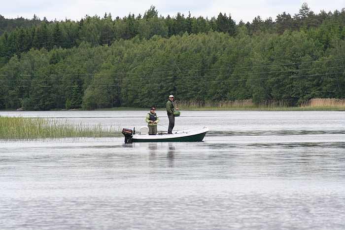 Die vielen Schilfkanten sind Standplätze der Hechte Die vielen Schilfkanten sind Standplätze der Hechte