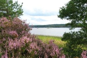 Rund um Ihr Ferienhaus - norwegische Idylle pur! Rund um Ihr Ferienhaus - norwegische Idylle pur!