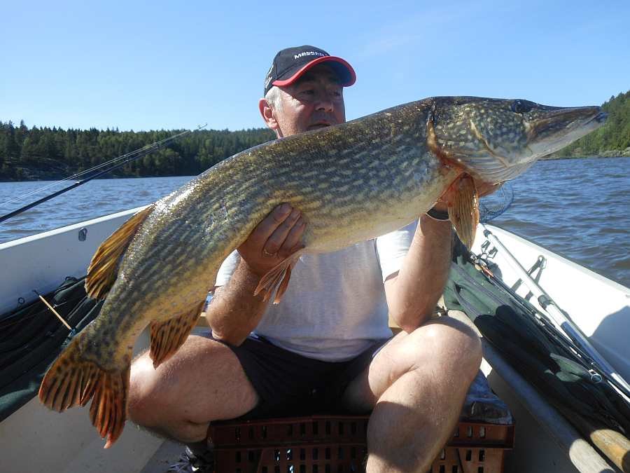 Der wurde geschleppt!