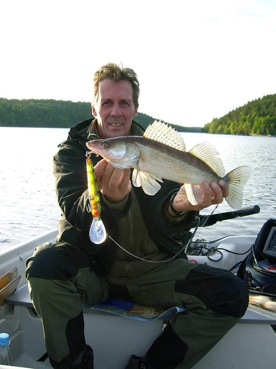 Auch die gibt es - reichlich - Zander!