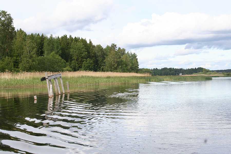 Der See Vansjø bietet endlose Schilfkanten