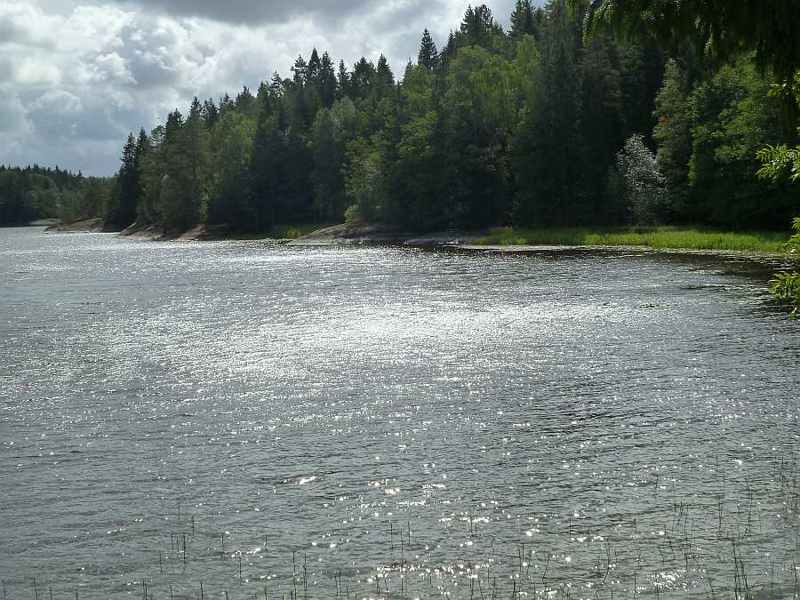 Schon hier direkt (!) neben dem Haus lohnt ein erster Angelversuch... das Kraut und die Seerosen verraten die Standplätze der Hechte
