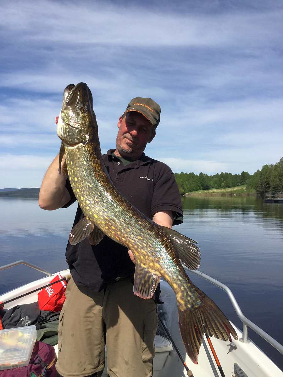 Schlank, aber auch knapp über einen Meter lang...