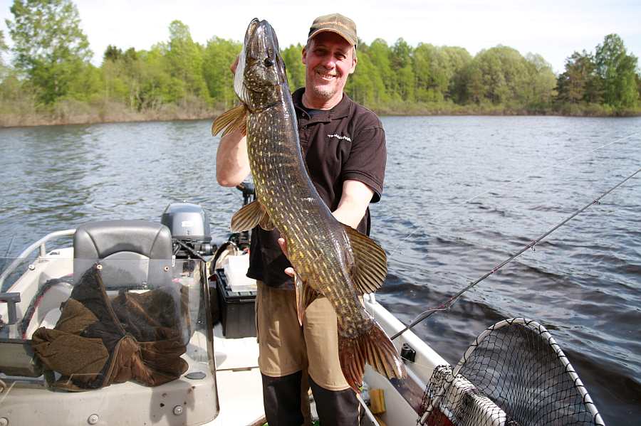 Im Juni an der Uferkante geschleppt