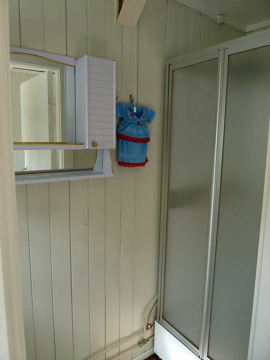 Das  kleine Badezimmer im Haupthaus mit Dusche und Waschbecken