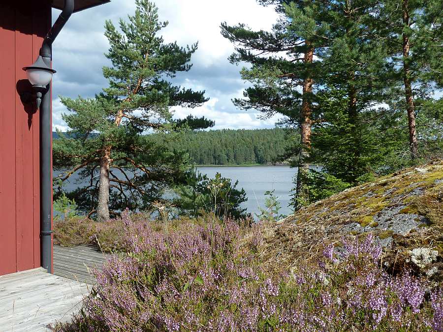 Die Natur rings um's Haus ist  einfach nur wunderbar