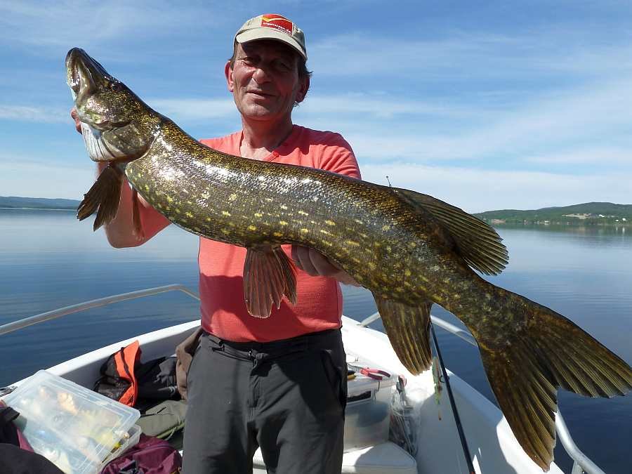 Thordes! Wie immer beim Testangeln erfolgreich