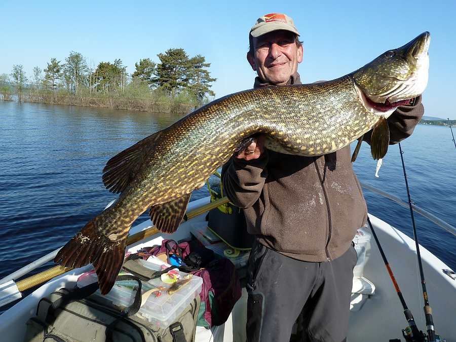 Uff! Der hat das Metermaß definitiv ebenfalls überschritten