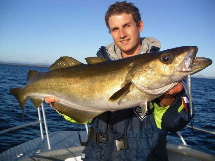 Traum-Pollack Traum-Pollack