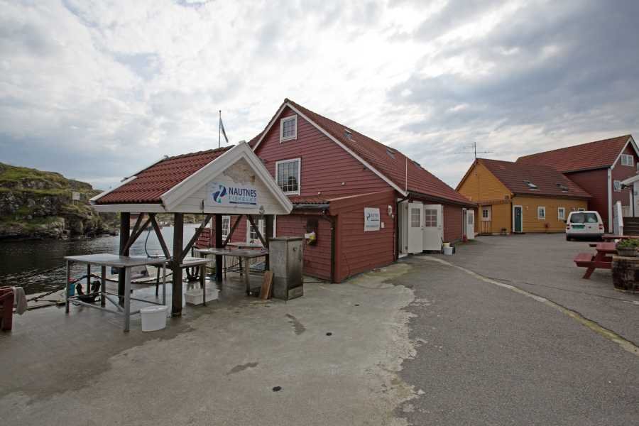 Einer der Filetiertische mit fließend Wasser und Beleuchtung. im Hintergrund die Wohnungen A7-A9 und C1-C2 Einer der Filetiertische mit fließend Wasser und Beleuchtung. im Hintergrund die Wohnungen A7-A9 und C1-C2