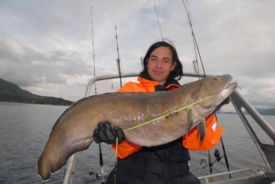 Die Lumb werden hier besonders groß - hier auf der Kutter&Küste Test-Tour gefangen