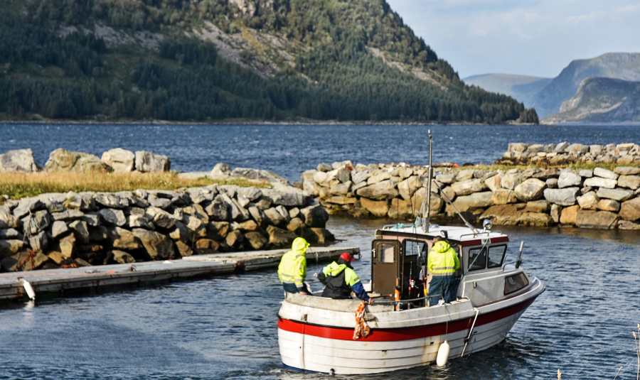 Einer der optional zubuchbaren Kutter