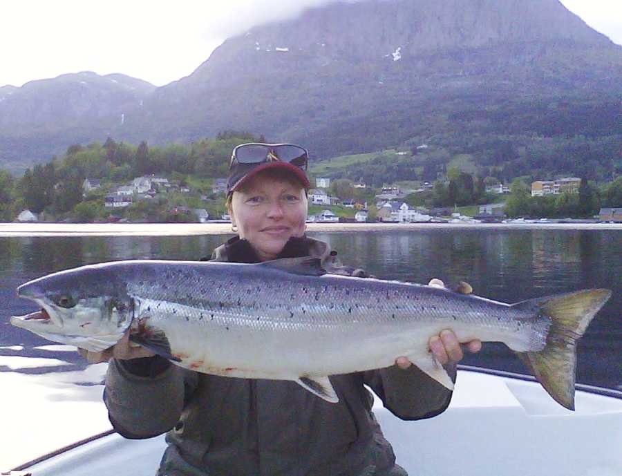 Angeln In Norwegen Dalsfjord Fiskecamp Günstig Buchen Nwdaf