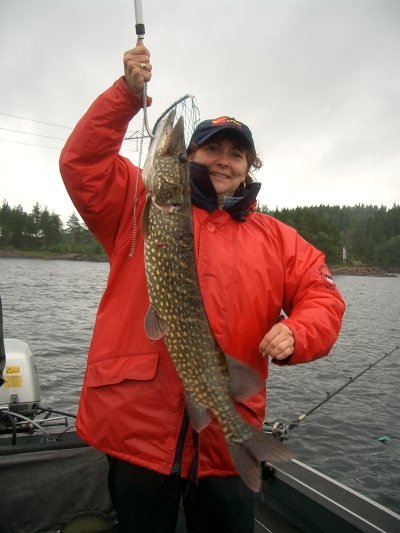 Vera mit schönen Hecht aus dem Foxen. Vera mit schönen Hecht aus dem Foxen.