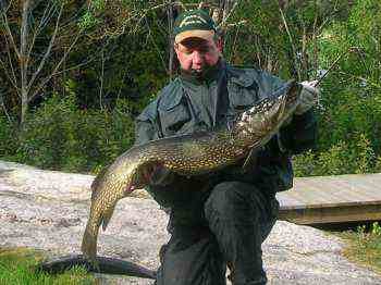 Kapitale Hechte wie dieser sind hier immer möglich. Kapitale Hechte wie dieser sind hier immer möglich.