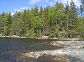 Die schöne Natur Schwedens lädt zu einer entspannten Angelreise ein. Die schöne Natur Schwedens lädt zu einer entspannten Angelreise ein.