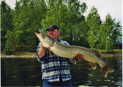 Kapitale Hechte werden hier jedes Jahr gefangen. Kapitale Hechte werden hier jedes Jahr gefangen.