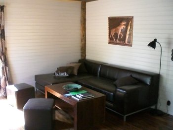 Der Wohnraum ist gemütlich eingerichtet. Der Wohnraum ist gemütlich eingerichtet.