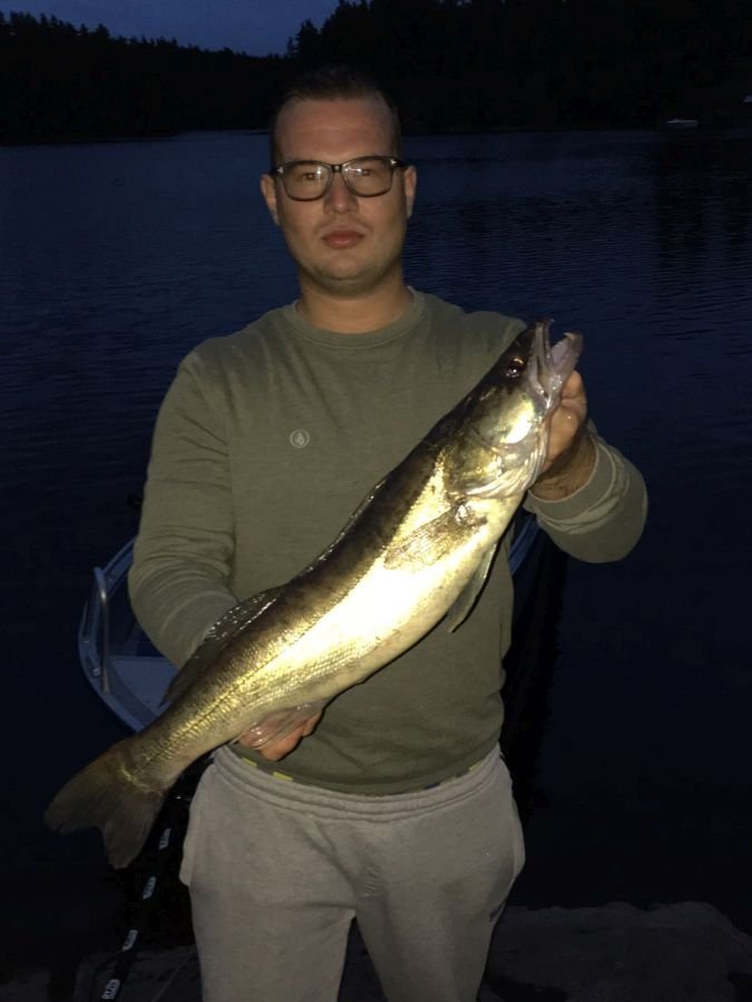 Schöner Zander aus dem Stora Le!