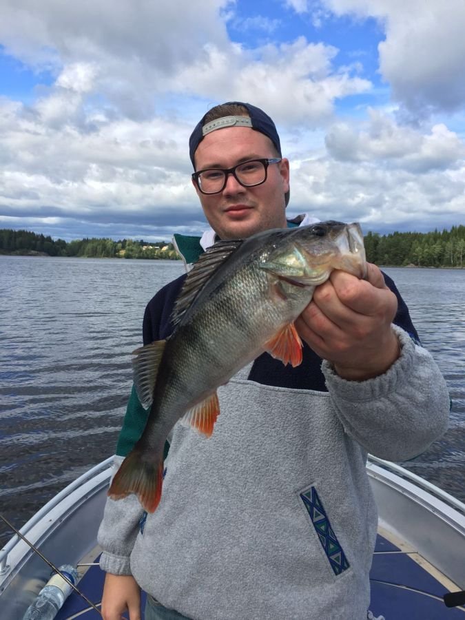 Toller Barsch aus dem Stora Le.