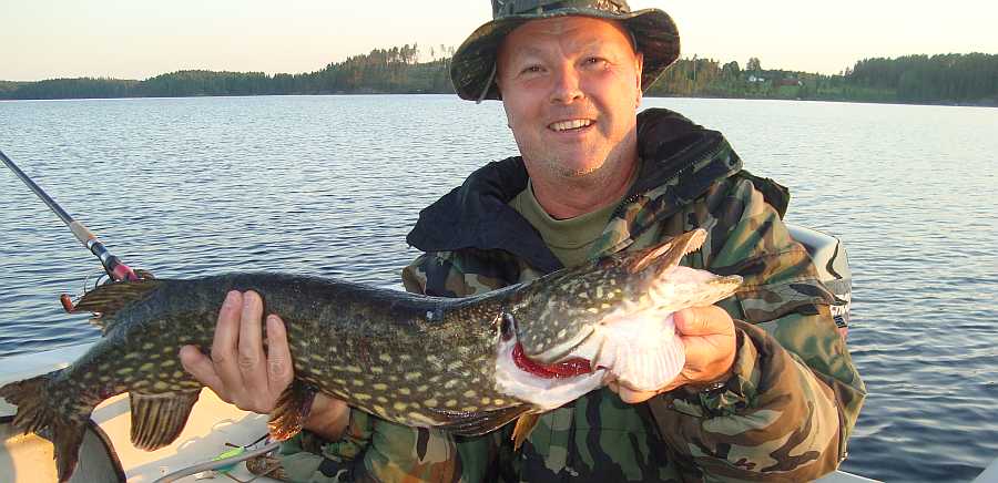 Unser Kunde Herr Schwanz mit Hecht aus dem Östra Silen