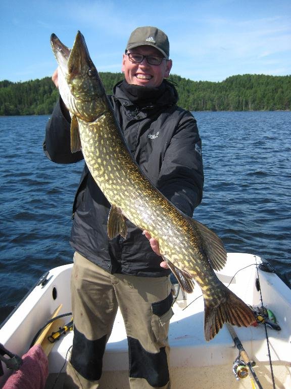 Erfolgreich beim Spinnfischen mit Wobbler