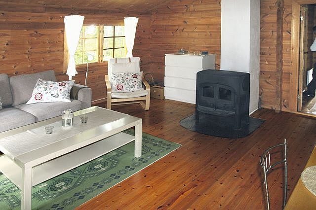 Wohnbereich mit Kamin. Wohnbereich mit Kamin.