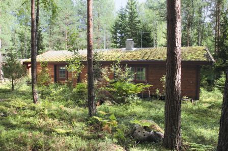 Die Natur rund um das Objekt, lädt zum Wandern, Pilze pflücken, Baden oder Angeln ein. Die Natur rund um das Objekt, lädt zum Wandern, Pilze pflücken, Baden oder Angeln ein.