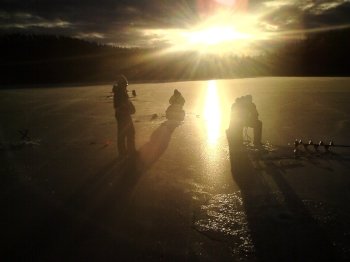 Auch im WInter lassen sich die Raufische des Sees beangeln.