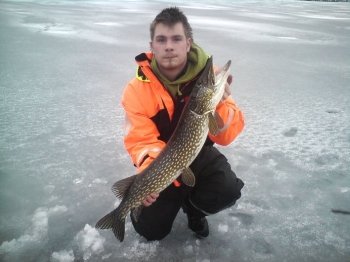 Schöner Hecht aufs Eis gelegt.