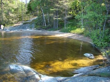 Die ruhigen Buchten des Sees sind immer für den ein oder anderen Hecht gut.