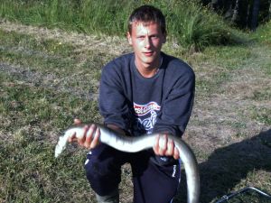 Hier können Sie armdicke Aale angeln. Hier können Sie armdicke Aale angeln.