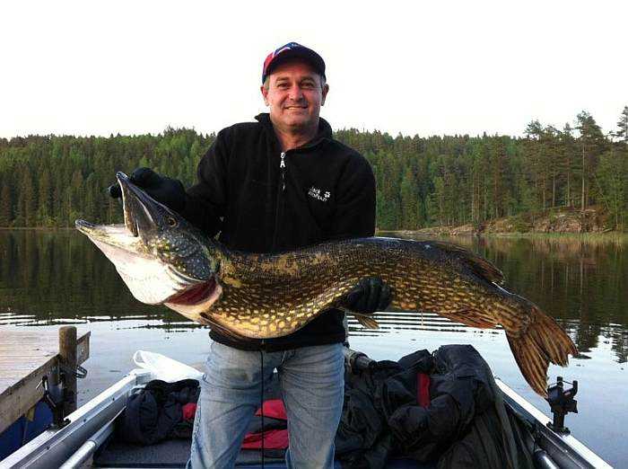 Herr Fabi im Glück - Hecht von 118 Zentimetern und 11,5 Kilo aus dem Östra Silen. Herr Fabi im Glück - Hecht von 118 Zentimetern und 11,5 Kilo aus dem Östra Silen.