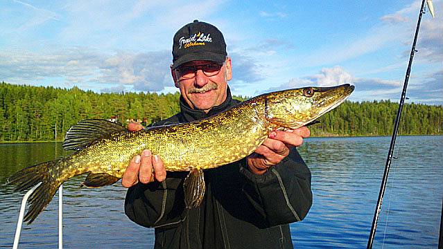 Hechte gibt es im See reichlich. Hechte gibt es im See reichlich.