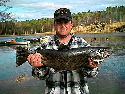 Auch tolle Bachforellen sind am Silen möglich. Auch tolle Bachforellen sind am Silen möglich.