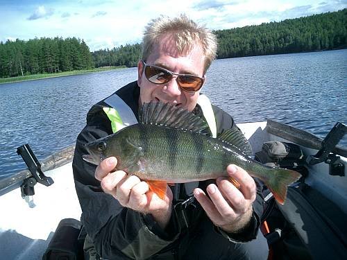 Toller Barsch! Toller Barsch!