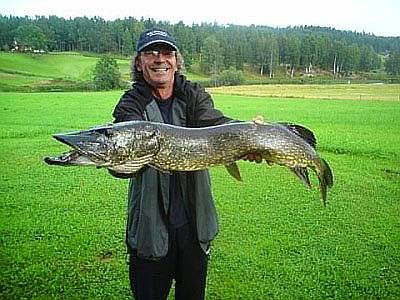 Hechte jenseits der Metermarke sind ein guter Grund für einen Angelurlaub am Silen. Hechte jenseits der Metermarke sind ein guter Grund für einen Angelurlaub am Silen.