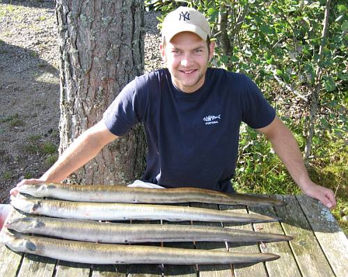 Direkt vom Steg sind solche riesigen Aale möglich. Direkt vom Steg sind solche riesigen Aale möglich.