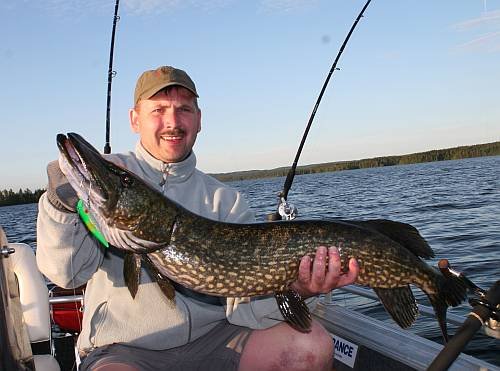 Geschleppter Hecht. Geschleppter Hecht.